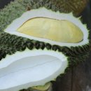 백과아시아마트 이미지