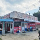 국빈반점 | 강원도 고성 맛집 동해반점 중화비빔면