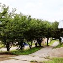 벽진목장 이미지