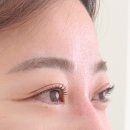 라인 | 강릉 속눈썹펌 &#34; 라인브로우 &#34; 후기