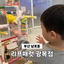 광복약국 | 부산 광복 롯데백화점 아이랑 앵무새카페 리프패럿 방문 후기