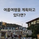 너울게스트하우스 | 강원도 강릉여행 너울서프 강릉게스트하우스 서핑 여행 다녀온 후기!