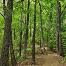 송파제일번역행정사사무소 이미지