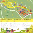 삼춘농산물 | 서울근교 꽃구경 2026 이천 산수유축제 경기도 이천 산수유마을