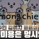 멍시앙 네이버블로그