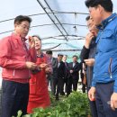 고령농장(2) 이미지