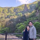 청산야영장 이미지