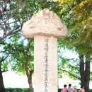 부산 오륙도~사상구 괘법동