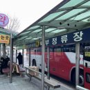 정류소 노컷뉴스