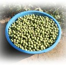 일구농장 이미지