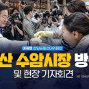 새당감시장 Daum카페