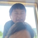 하루하나 더 노스텔지아 민박 | 경북 칠곡 감성 숙소 별빛 민박 가족과 함께한 하루 솔직 후기