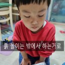코스모스 인셀덤 | 재생 플라스틱 화분에 가을꽃 씨앗 심기