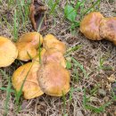 11650-4-36-2 이미지