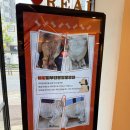 클린피부전문동물병원 | 부산 레알피부전문동물병원 방문 후기