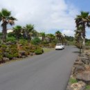 강정동-19 이미지