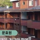 문효원 이미지