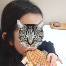 와플대학 과천자이캠퍼스 네이버블로그