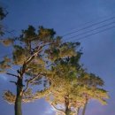 사나래카라반캠핑 이미지