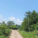 신풍리-4 이미지