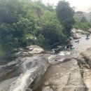 중부소방서 태화119안전센터 이미지