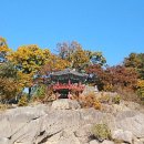 힐링투어컴