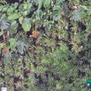 하마정원 이미지