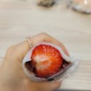 모찌네 수제간식 이미지