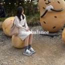 그레이 | 뉴발란스 | 574 레거시 그레이 후기 (기본 574와 비교)