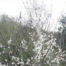 원희농장 이미지