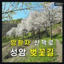 의료법인 아인의료재단 성암요양병원 네이버블로그