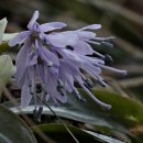 사계절환경 이미지