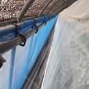 수막 목장 이미지