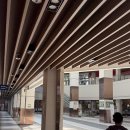 파라곤1층약국 | [경기 하남]미사왁싱 1인샵 끝판왕, 여자원장 케어 브라질리언 후기