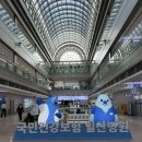 10주4일차 일산병원 니프티 30만원대 초진 예약방법 당일예약 검사항목