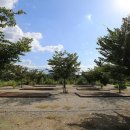 진거리농원 이미지