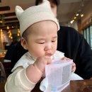 신생아 외출 필템 나이아드 베이비워터 신생아분유에 사용 가능