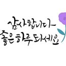 한줌엑스퍼트 이미지