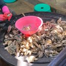 돌산건어물 - 여수시 우두1길 12-13 | 여수 향일암 맛집 천하건어물 돌산갓김치, 굴전 후기