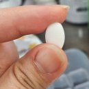 Best Naturals 내추럴 락타아제 효소 내돈내산 후기 (복부팽만 뿡뿡이 과민성대장증후군 유당불내증...
