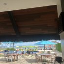 팜오션 | 보홀 오셔니카 리조트(구 사우스팜) 오션뷰 솔직후기 - 수영장, 조식, 장단점