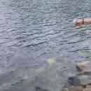 이대길스튜디오 티스토리