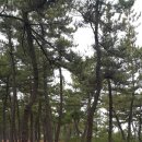 비치파크모텔 이미지