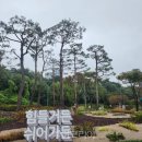 양평 산림교육센터 이미지