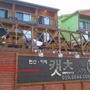 캣츠펜션 이미지