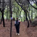 베르네아파트 | [부천 시승격 50주년 50km 둘레길 걷기] 슬기로운 부천생활