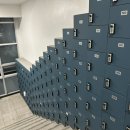 웰빙스포렉스 이미지