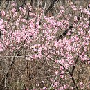 수성구민운동장 이미지