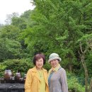 궁산농장 이미지