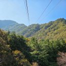 정읍오토카정비 | 🏞️ 정읍 내장산 &amp; 내장산 케이블카 1박2일 여행 후기사계절 아름다운 자연과 포토스팟 가득한 국립공원
